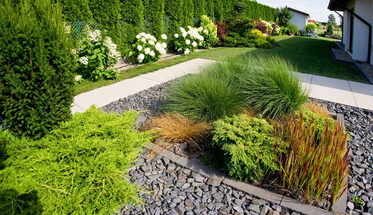 Difference Between Landscape And Hardscape: Understanding The Distinctive Elements