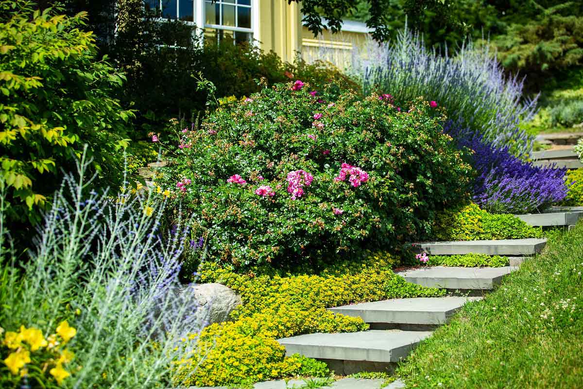 Garden Step Ideas: Adding Style And Functionality To Your Outdoor Staircases