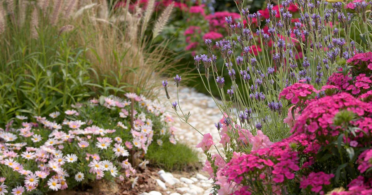Hardscape Ideas for Flower Beds: Enhancing Your Garden With Creative Design